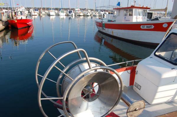 T3 Vue Et Plage, Avec Wifi Et Parking *